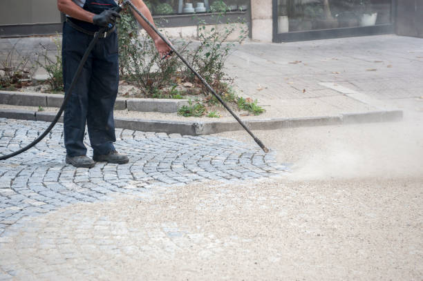 Best Gutter Cleaning  in Greensboro, AL