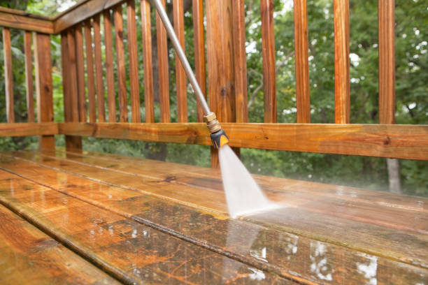 Best House Exterior Washing  in Greensboro, AL